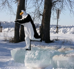 Polar Plunge Patty the Penguin